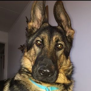 Meet your Posher, Kaydence